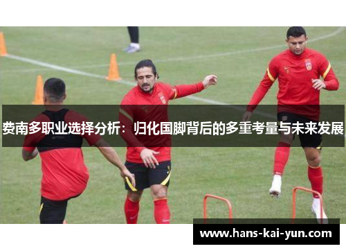 费南多职业选择分析：归化国脚背后的多重考量与未来发展