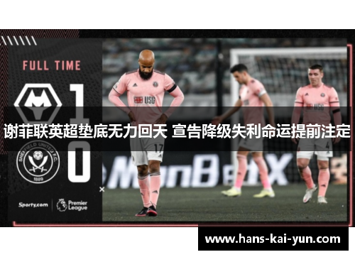 谢菲联英超垫底无力回天 宣告降级失利命运提前注定